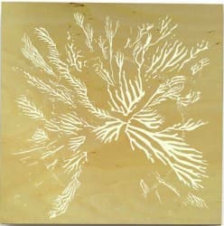 Инспирация (Inspiration)