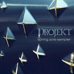 Vacant Lights Disclose the Shadows