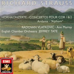 Horn Concerto no. 2 in E-flat major, AV 132: I. Allegro