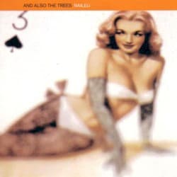 Slow Pulse Boy (live)