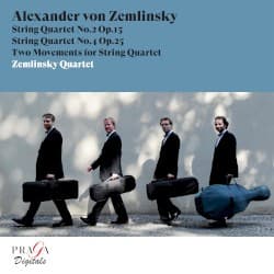 String Quartet no. 2, op. 15: IV. Allegro molto – Langsam – Andante