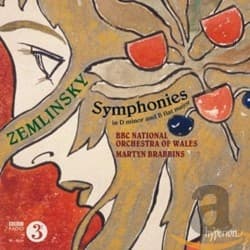 Symphony in D minor: Sehr innig und breit