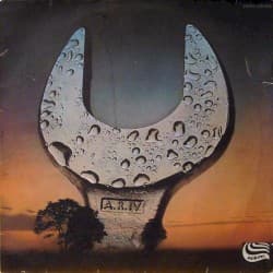 Thin Is the Skin of Ecstasy