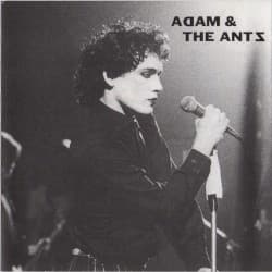 Antmusic for Sexpeople