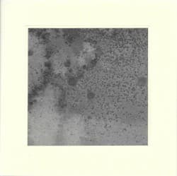 In Faxfleet Clouds Uplifted Autumn Gave Passage to Kind Nature