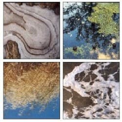 Split LP Series #1 - Living Ornaments / Accelera Deck