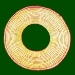 バームクーヘン