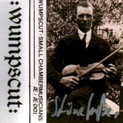 Small Chambermusicians