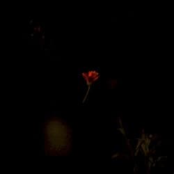 Live at Jazzstate, 04/12/2019