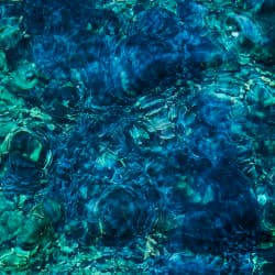 Luminescent Creatures