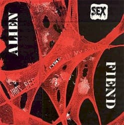 Who’s Been Sleeping in My Brain?