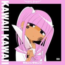 KAWAII KAWAII 可愛い